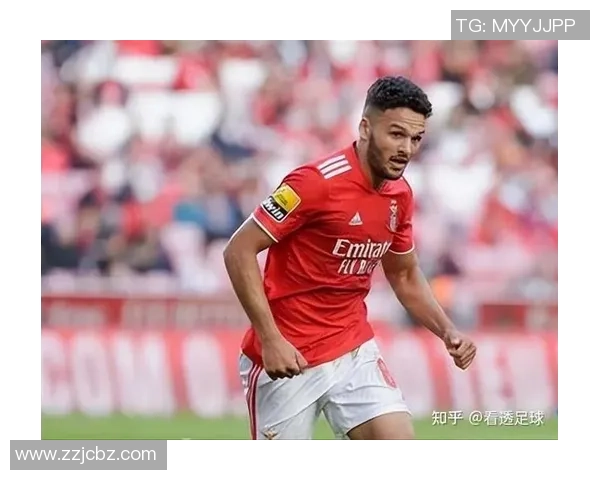 卖足球星卡能赚钱吗知乎分析市场前景与潜在收益 卖足球星卡能赚钱吗知乎分析市场前景与潜在收益